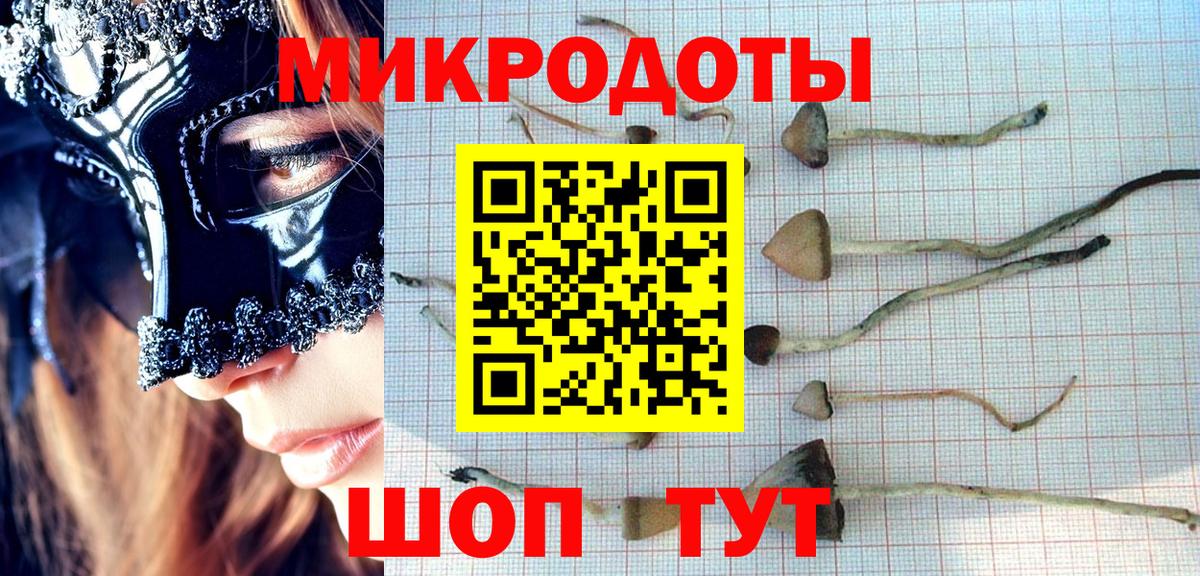 Ярославль  Галлюциногенные грибы мицелий  Вход с VPN 